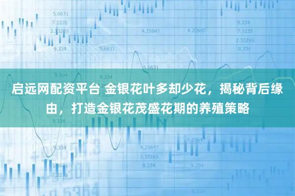 启远网配资平台 金银花叶多却少花，揭秘背后缘由，打造金银花茂盛花期的养殖策略