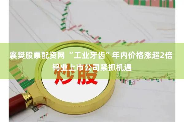 襄樊股票配资网 “工业牙齿”年内价格涨超2倍 钨业上市公司紧抓机遇